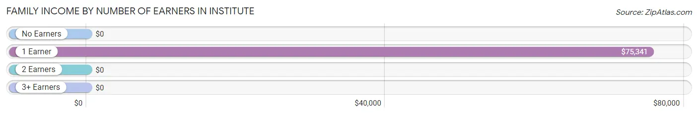 Family Income by Number of Earners in Institute