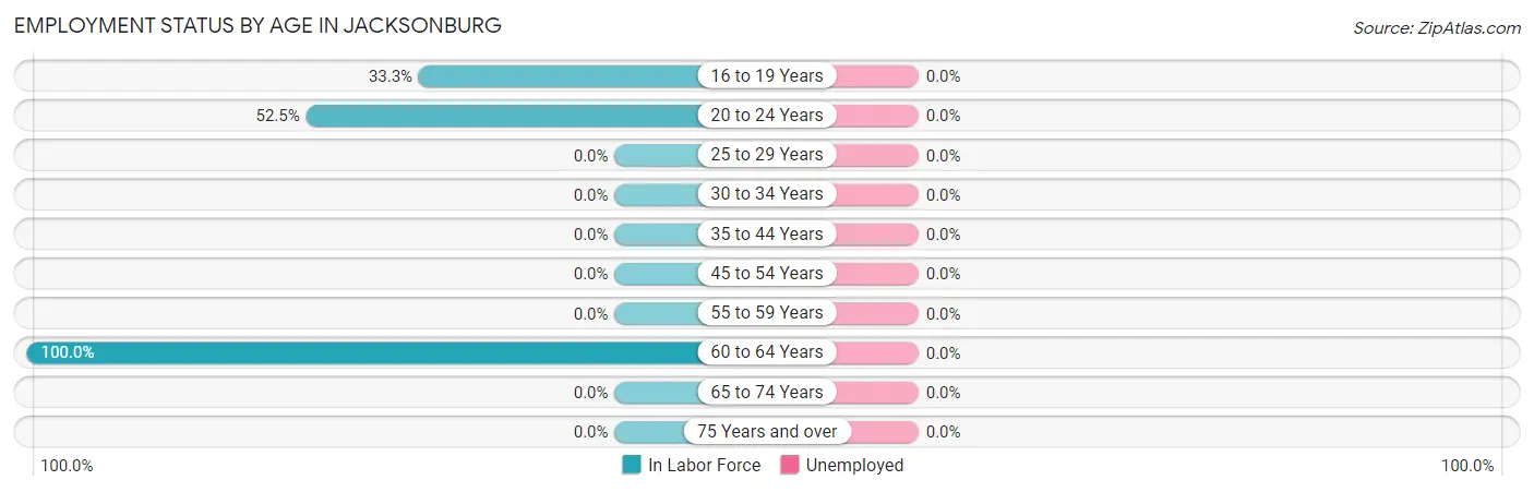 Employment Status by Age in Jacksonburg