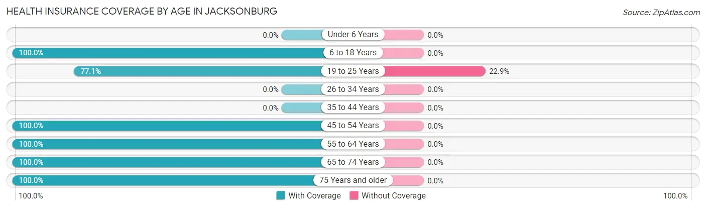 Health Insurance Coverage by Age in Jacksonburg