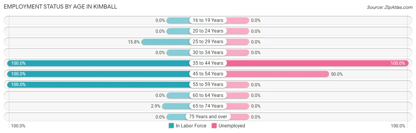 Employment Status by Age in Kimball