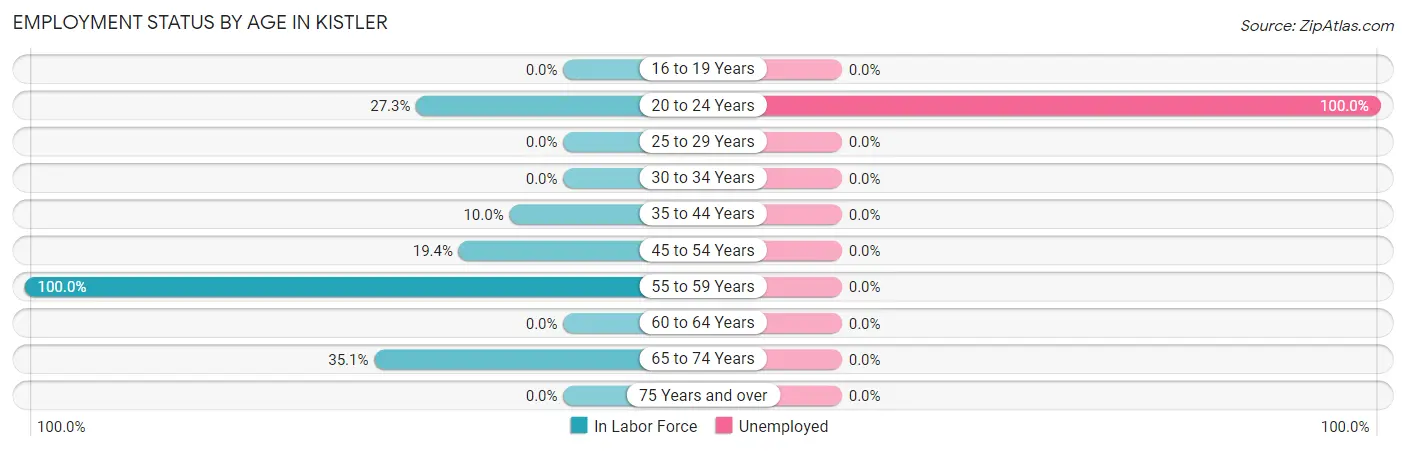 Employment Status by Age in Kistler