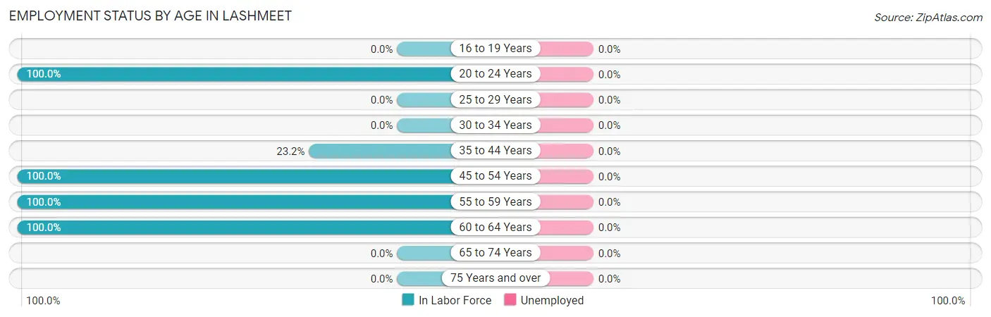 Employment Status by Age in Lashmeet