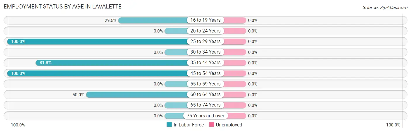 Employment Status by Age in Lavalette