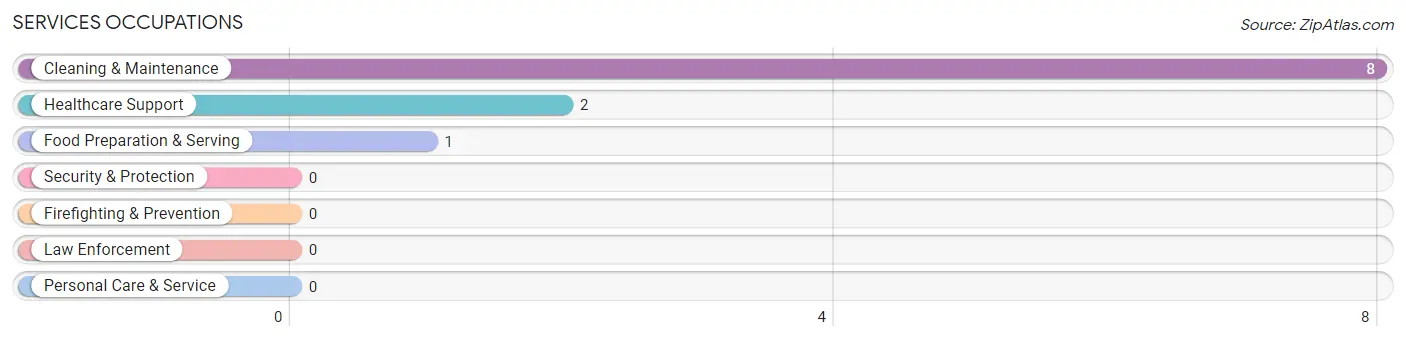 Services Occupations in Lester