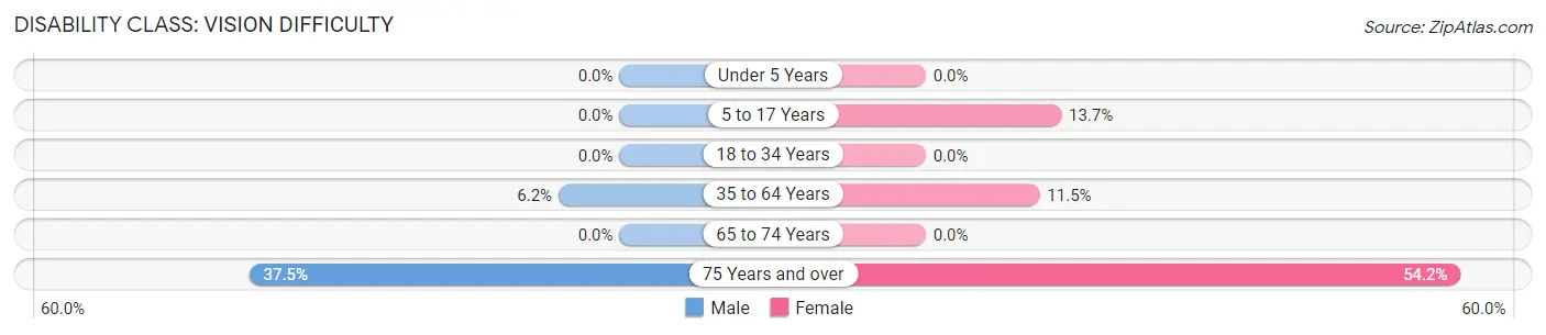 Disability in Lester: <span>Vision Difficulty</span>