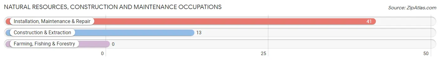 Natural Resources, Construction and Maintenance Occupations in Mabscott