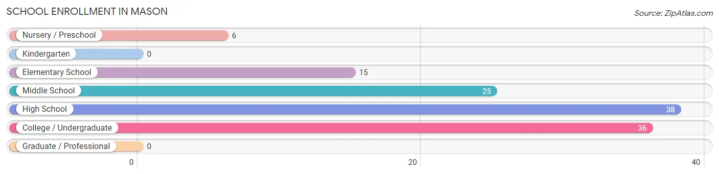 School Enrollment in Mason