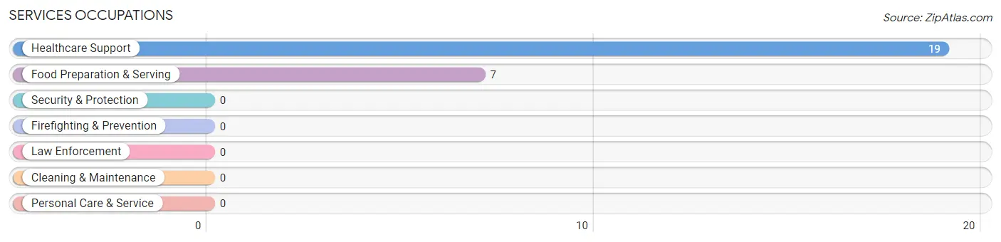 Services Occupations in Mason