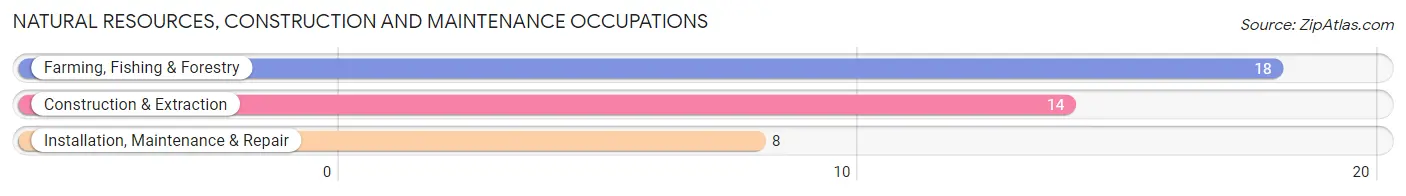 Natural Resources, Construction and Maintenance Occupations in Masontown