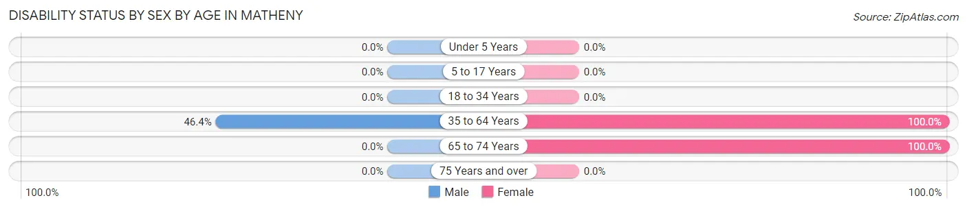 Disability Status by Sex by Age in Matheny