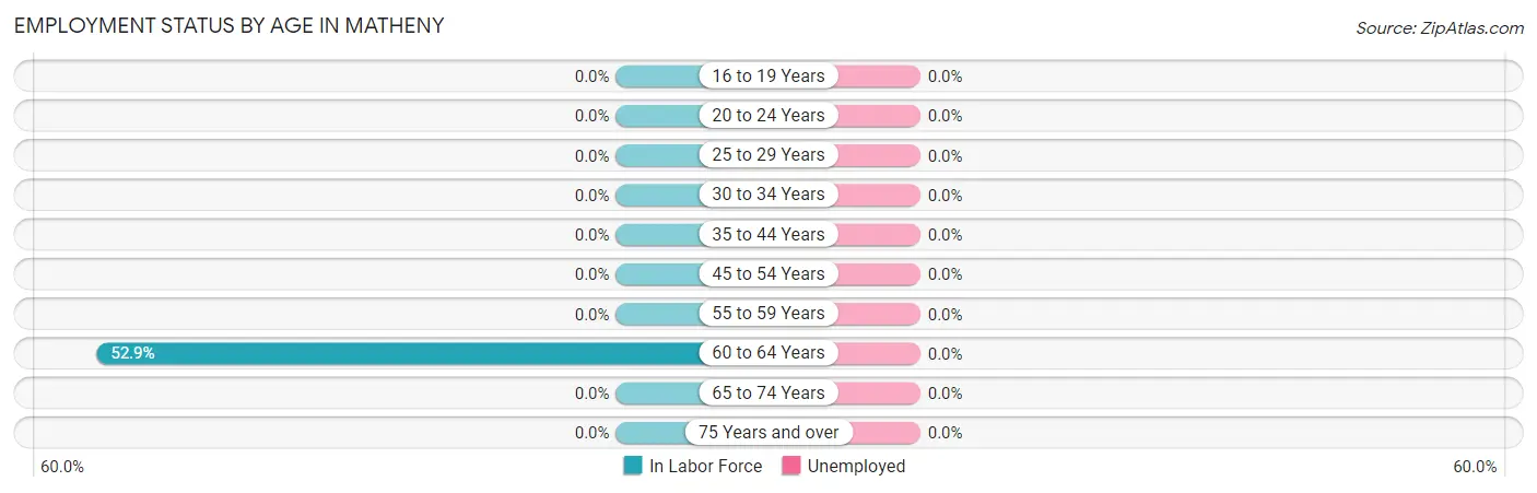 Employment Status by Age in Matheny