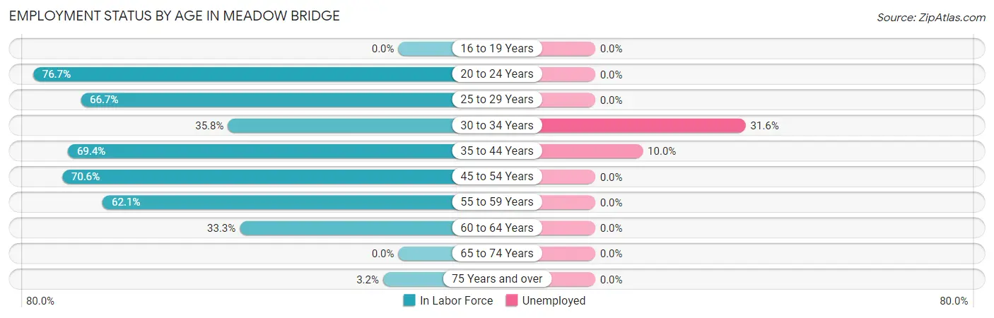 Employment Status by Age in Meadow Bridge