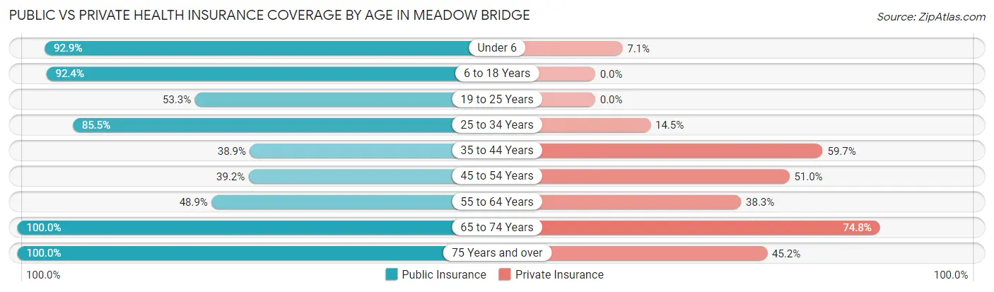 Public vs Private Health Insurance Coverage by Age in Meadow Bridge