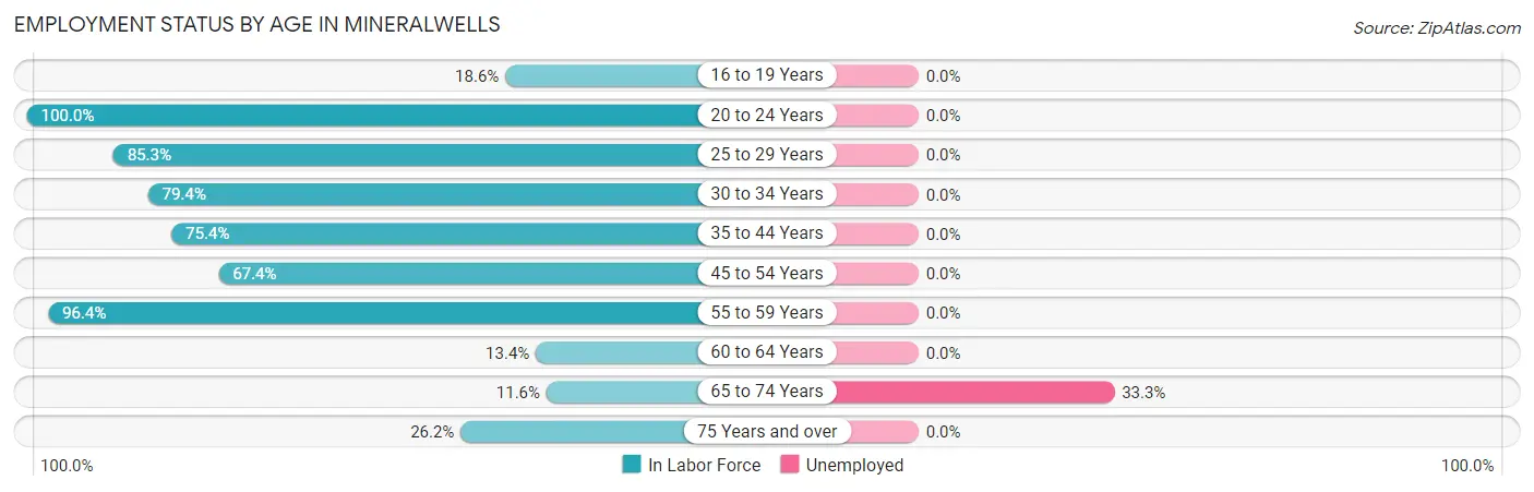 Employment Status by Age in Mineralwells