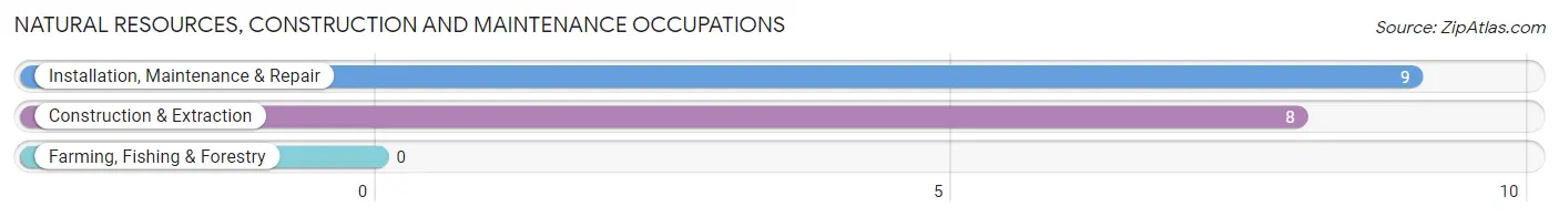 Natural Resources, Construction and Maintenance Occupations in Mitchell Heights