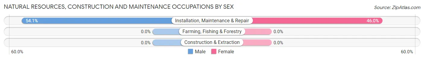 Natural Resources, Construction and Maintenance Occupations by Sex in Moorefield