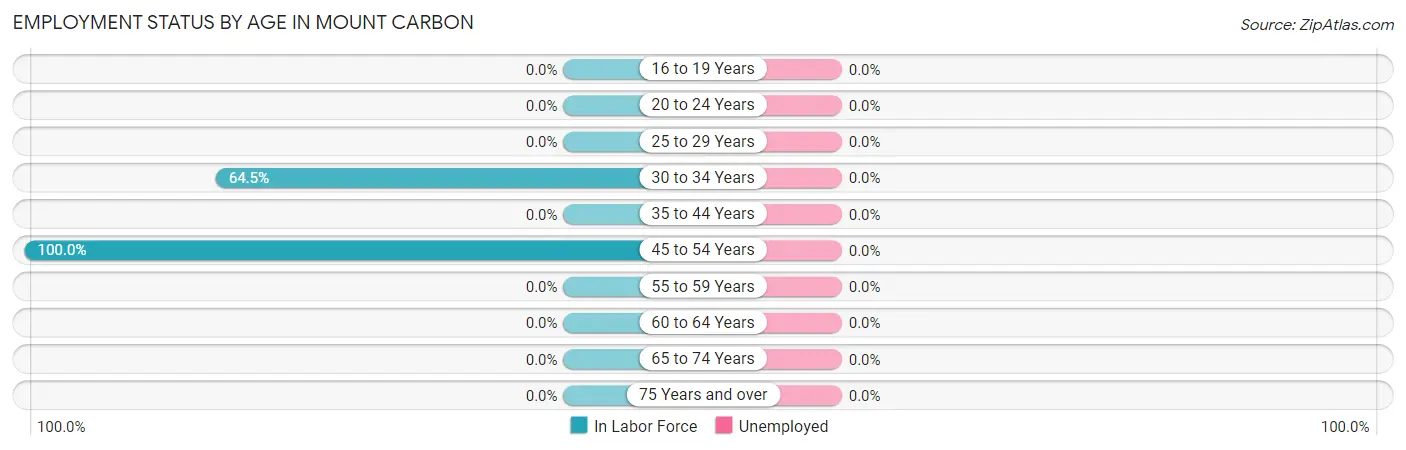 Employment Status by Age in Mount Carbon