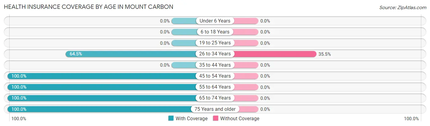 Health Insurance Coverage by Age in Mount Carbon