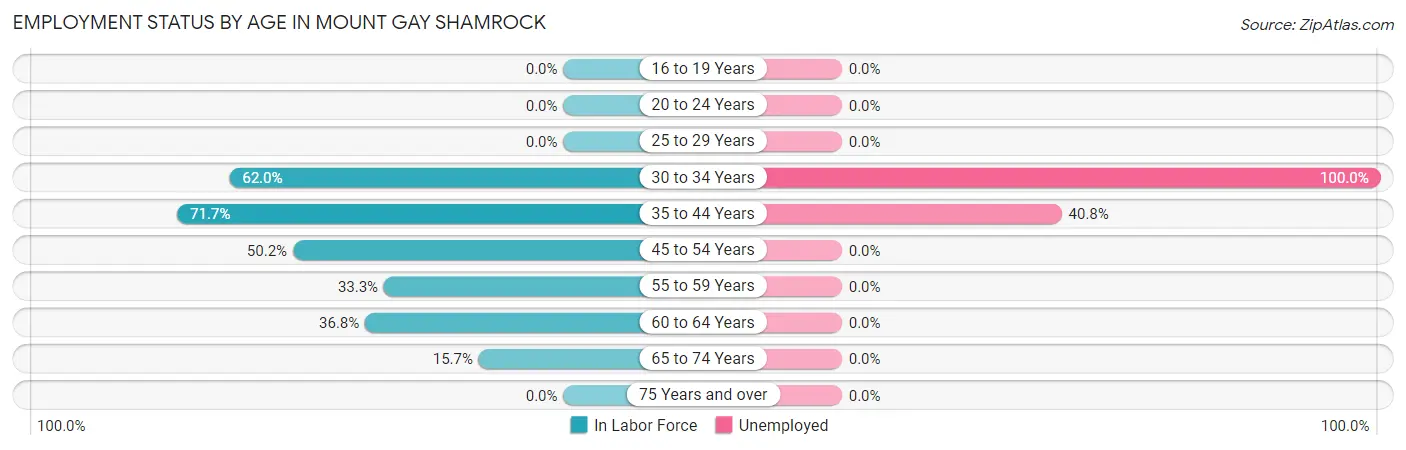 Employment Status by Age in Mount Gay Shamrock