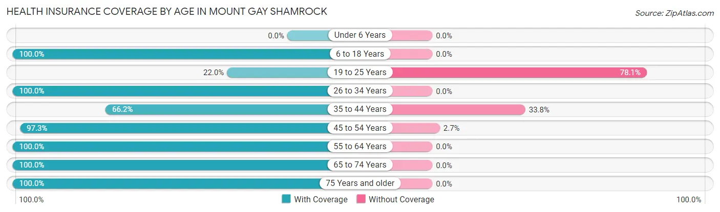 Health Insurance Coverage by Age in Mount Gay Shamrock