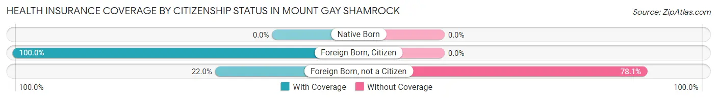 Health Insurance Coverage by Citizenship Status in Mount Gay Shamrock