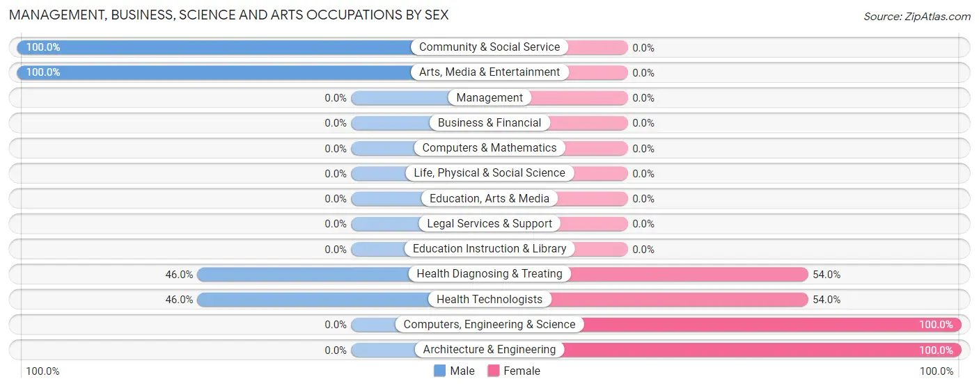 Management, Business, Science and Arts Occupations by Sex in Mount Gay Shamrock