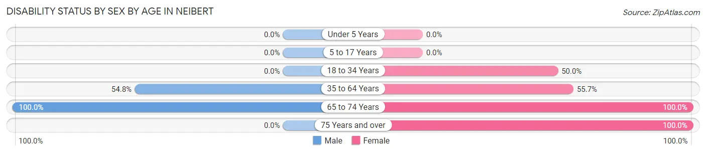 Disability Status by Sex by Age in Neibert