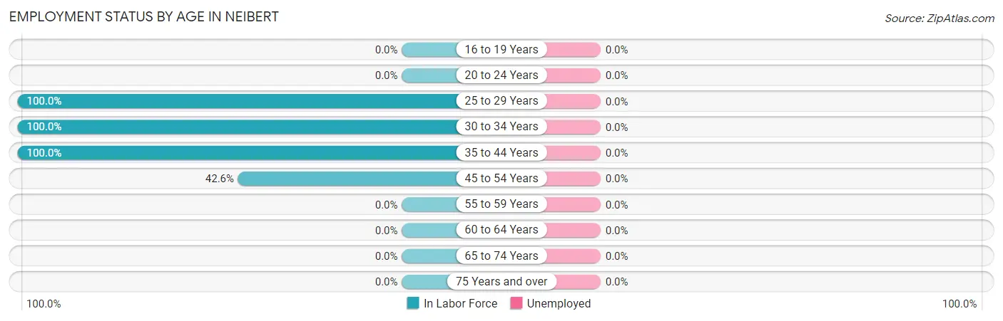 Employment Status by Age in Neibert