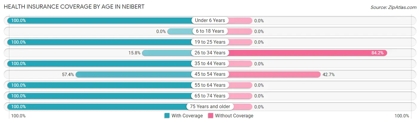 Health Insurance Coverage by Age in Neibert