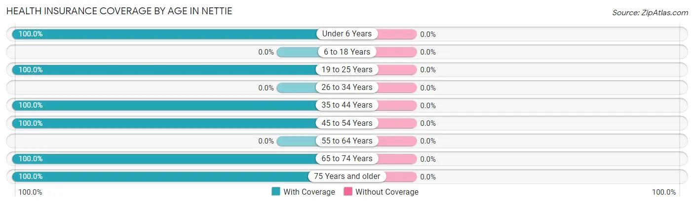 Health Insurance Coverage by Age in Nettie