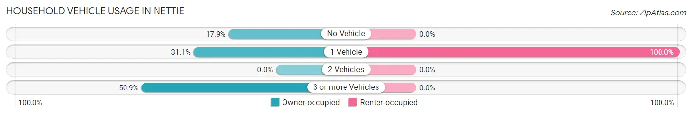 Household Vehicle Usage in Nettie