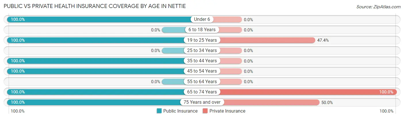 Public vs Private Health Insurance Coverage by Age in Nettie