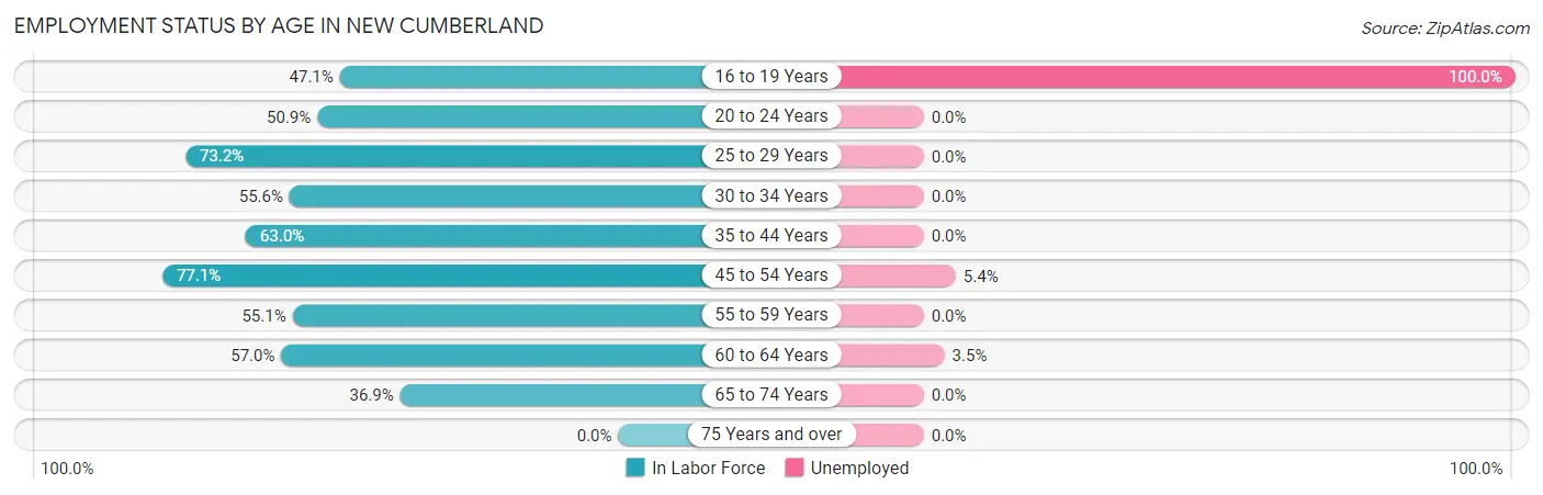 Employment Status by Age in New Cumberland
