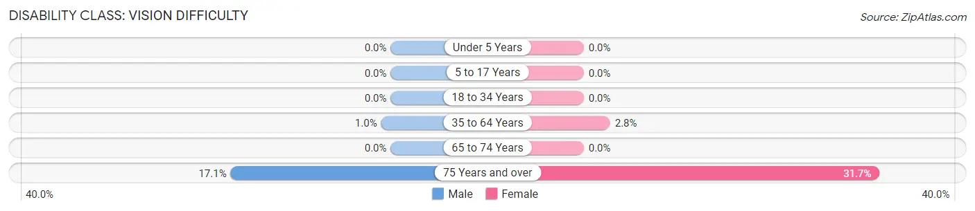 Disability in New Cumberland: <span>Vision Difficulty</span>