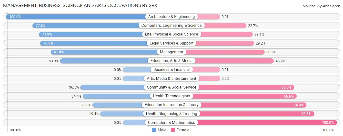 Management, Business, Science and Arts Occupations by Sex in New Martinsville