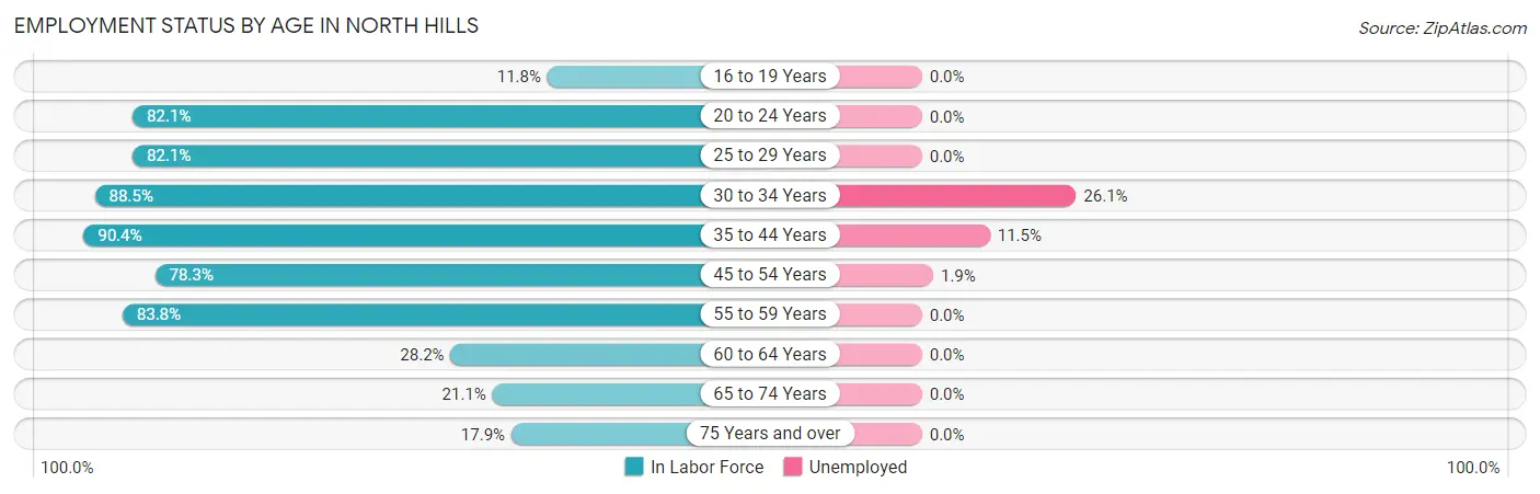 Employment Status by Age in North Hills