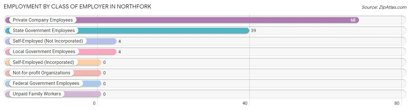 Employment by Class of Employer in Northfork