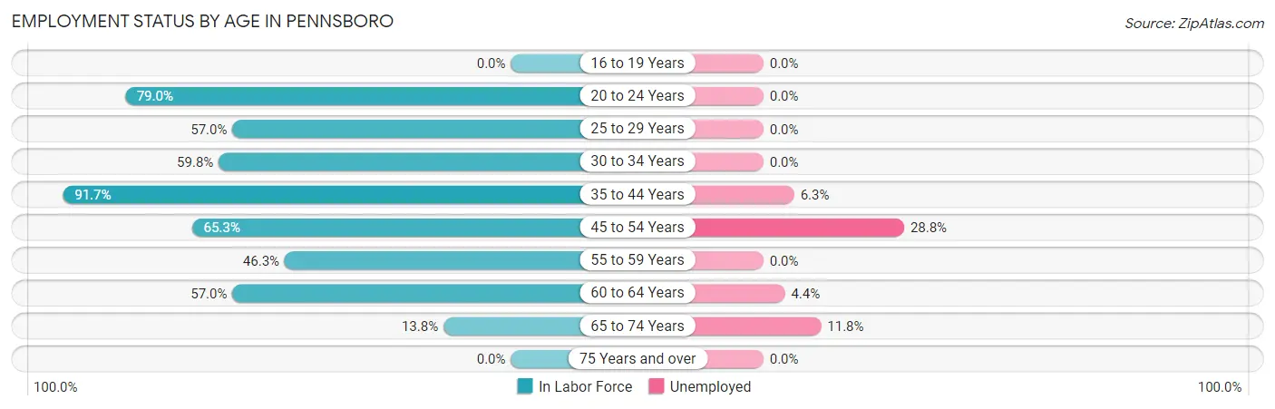 Employment Status by Age in Pennsboro