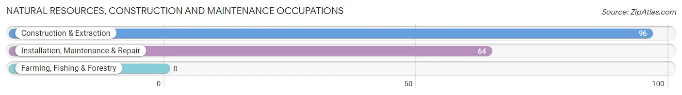 Natural Resources, Construction and Maintenance Occupations in Petersburg