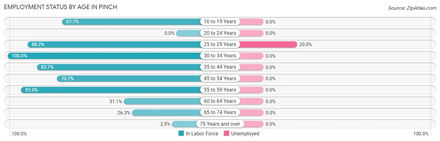 Employment Status by Age in Pinch