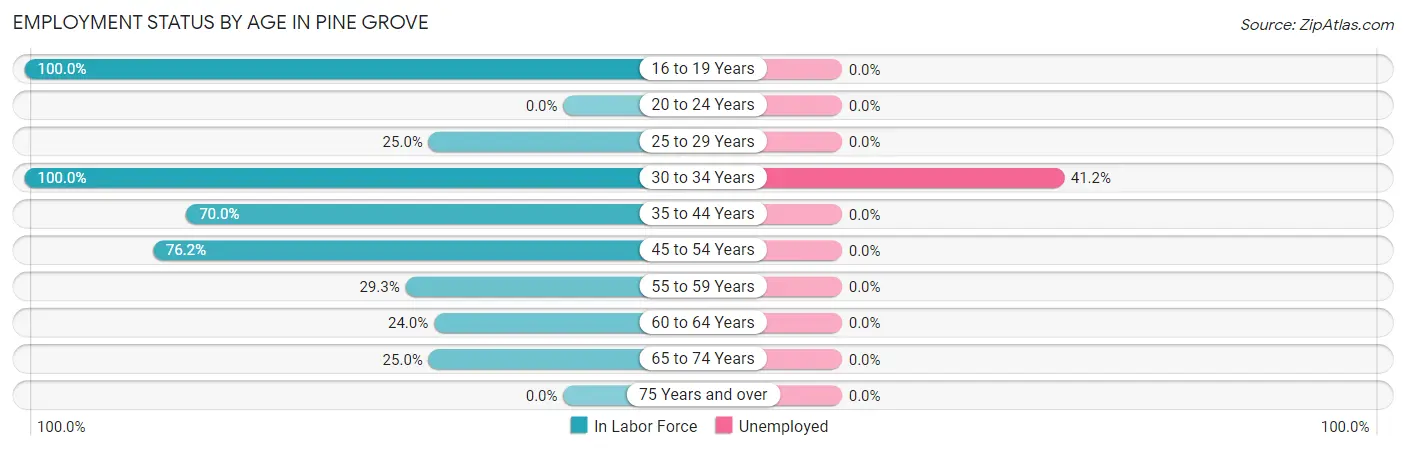 Employment Status by Age in Pine Grove
