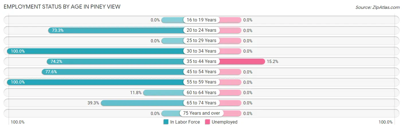 Employment Status by Age in Piney View