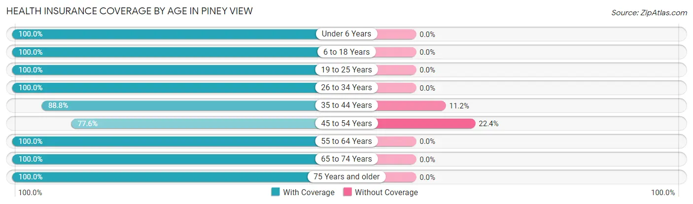 Health Insurance Coverage by Age in Piney View