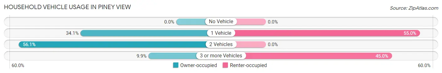 Household Vehicle Usage in Piney View