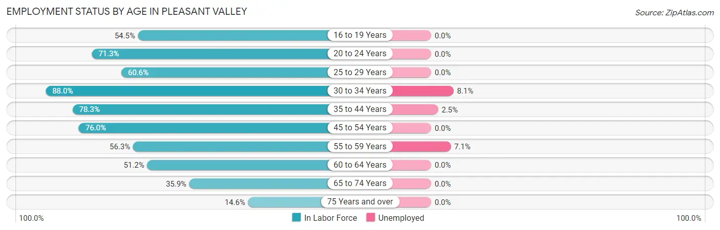 Employment Status by Age in Pleasant Valley