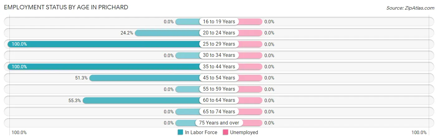 Employment Status by Age in Prichard