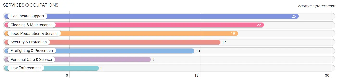 Services Occupations in Rainelle