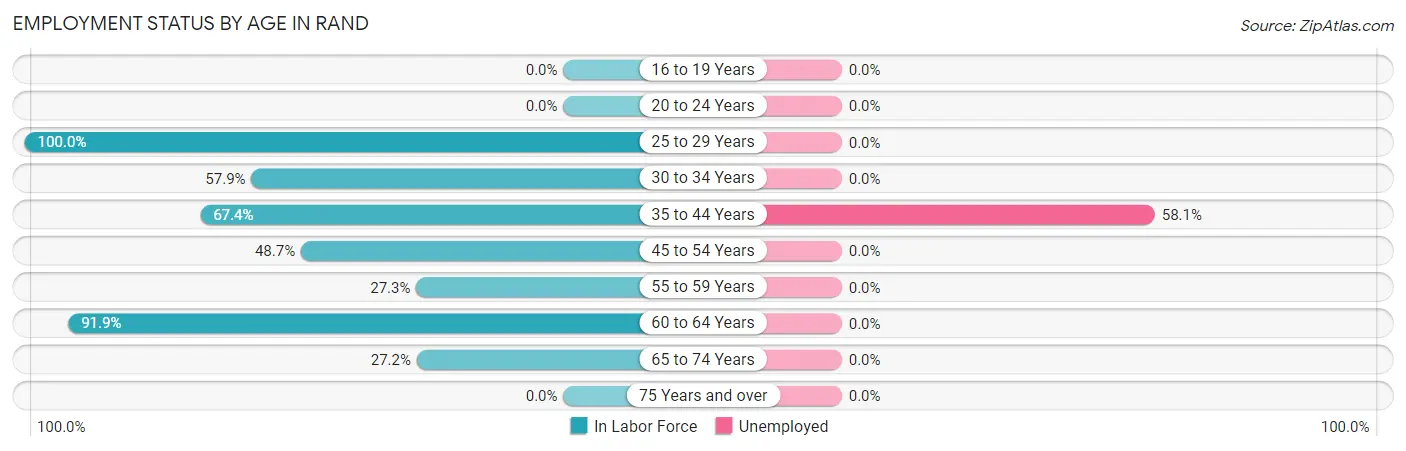 Employment Status by Age in Rand