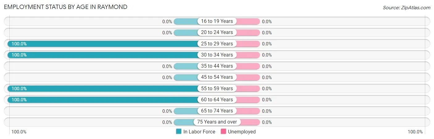 Employment Status by Age in Raymond