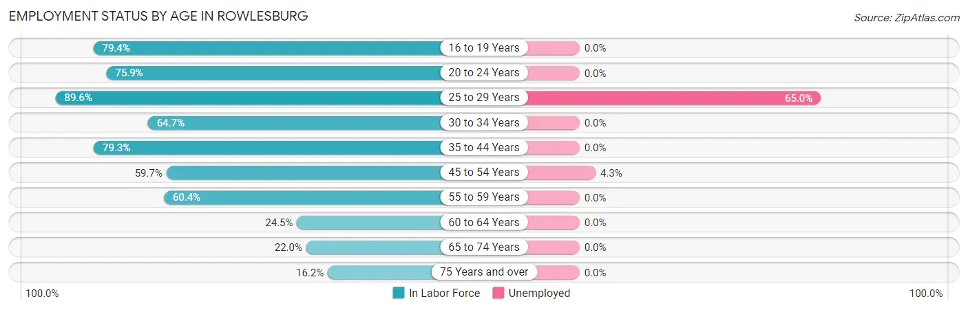 Employment Status by Age in Rowlesburg